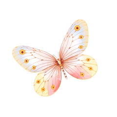 watercolor butterfly illustration isolated png transparent background.