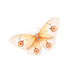 Fototapeta na wymiar watercolor butterfly illustration isolated png transparent background.