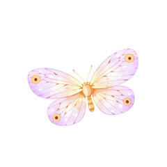 watercolor butterfly illustration isolated png transparent background.