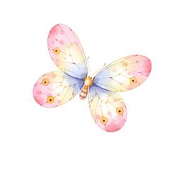 watercolor butterfly illustration isolated png transparent background.
