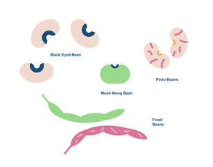 Beans
