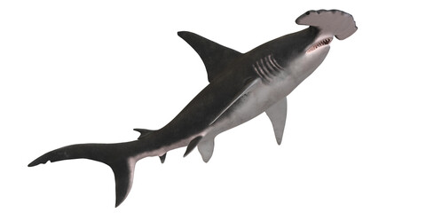 Fototapeta premium Hammerhead shark isolated on a Transparent Background