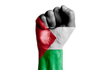 Man hand fist of STATE OF PALESTINE flag painted.