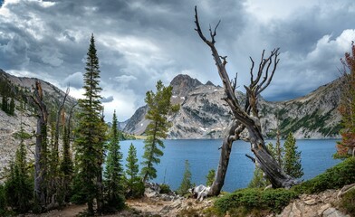 a lake and trees on a mountain slope near a forest