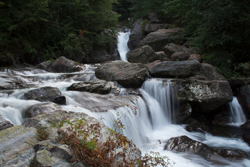 waterfall in the woods