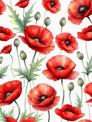 A Seam Of Red Poppies On A White Background