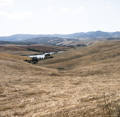 Rural countryside landscape of Tuscany hills. The Tuscany region is characterized by the cultivation of wheat, olives, vineyards and cypress passages.