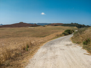 Fototapeta premium Rural countryside landscape of Tuscany hills. The Tuscany region is characterized by the cultivation of wheat, olives, vineyards and cypress passages.