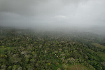 Fog over tropical jungle