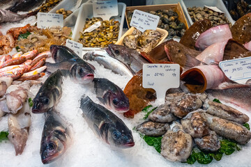 Great choice of fish and seafood for sale at a market in Barcelona, Spain