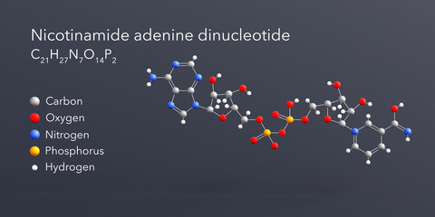 nicotinamide adenine dinucleotide molecule 3d rendering, flat molecular structure with chemical formula and atoms color coding