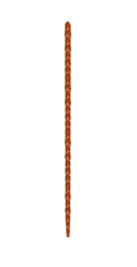 Coral sword torch, on a transparent background