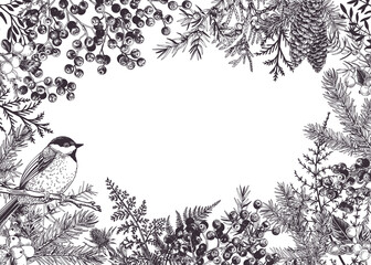Christmas frame with bird, winter plants and berries. Hand drawn botanical illustration. Black. Outline, no fill. Art line style. © Lisla