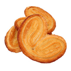 Palmiers / Transparent background