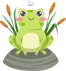 Cute frog on rock in the reeds on transparent background. Vector illustration for kids about the animal world