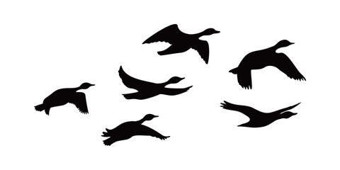 Canada goose silhouette design. wild duck flying in group.