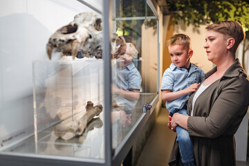 Curious little boy in his mothers arms looking at an animal skeleton in a bone display case at a natural history museum exhibition. - obrazy, fototapety, plakaty