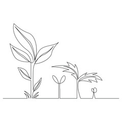 Continuous single line plant growth progress outline vector art design 