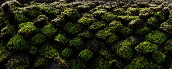organic mossy building growing out of the ground moire patterns tessellation textures highly detailed octane render ar 329 chaos 20  - obrazy, fototapety, plakaty