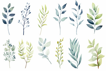 The digital watercolor illustration of various green, blue, and brown leaves with flowers plants patterns for decoration isolated on a white background, generated by AI. - obrazy, fototapety, plakaty