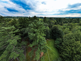 Landscape with Trees