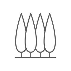 Cypress tree icon. Simple outline style. Tuscany, italy, foliage, landscape, nature concept. Thin line symbol. Vector illustration isolated. Editable stroke.