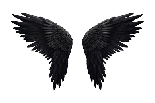 Archangel wing, Angel Wing, black angel wings on white background, Generative AI