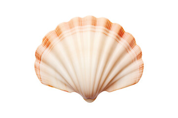 A beige shell isolated on a transparent background, Generative AI