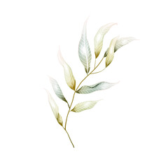 Watercolor branch leaves png transparent background