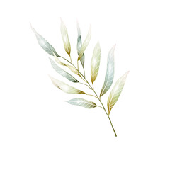 Watercolor branch leaves png transparent background - obrazy, fototapety, plakaty