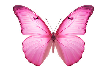 Obraz premium Butterfly, Pink butterfly isolated on a white background, Generative AI