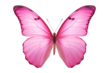 Butterfly, Pink butterfly isolated on a white background, Generative AI