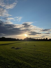 Obraz premium Rural landscape, green fields and meadows of the countryside