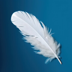  a white feather blue background 
