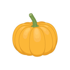 Pumpkin.Color vector illustration in cartoon flat style. PNG with transparent background.	