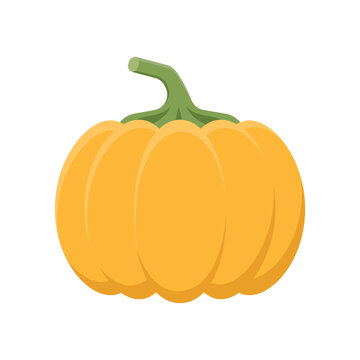 Pumpkin.Color vector illustration in cartoon flat style. PNG with transparent background.	