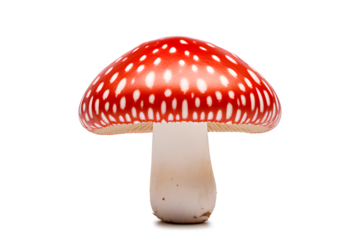 Red and white mushroom isolated on a transparent background, Generative AI