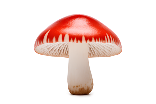 Red and white mushroom isolated on a transparent background, Generative AI - Powered by Adobe