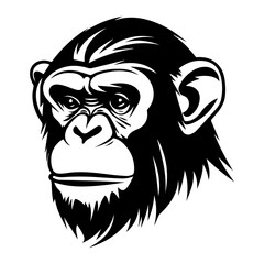 chimpanzee vector drawing. Isolated hand drawn object, engraved style illustration