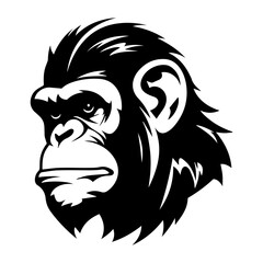 chimpanzee vector drawing. Isolated hand drawn object, engraved style illustration