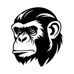 chimpanzee vector drawing. Isolated hand drawn object, engraved style illustration