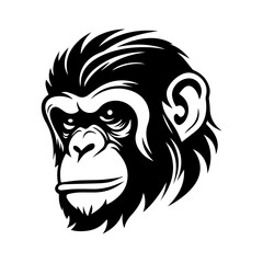 chimpanzee vector drawing. Isolated hand drawn object, engraved style illustration