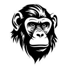 chimpanzee vector drawing. Isolated hand drawn object, engraved style illustration