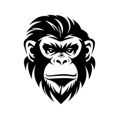 chimpanzee vector drawing. Isolated hand drawn object, engraved style illustration