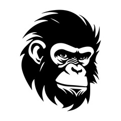 chimpanzee vector drawing. Isolated hand drawn object, engraved style illustration