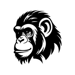 chimpanzee vector drawing. Isolated hand drawn object, engraved style illustration