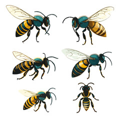 set of bees