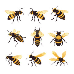 set of bees