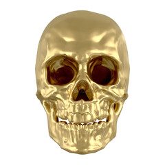 해골 머리뼈 Skull Skeleton