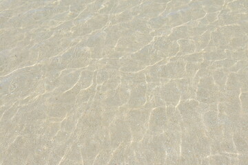 白い砂浜と晴れた日の光が当たった浅瀬の海